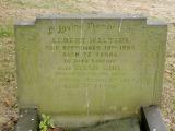 image of grave number 340736